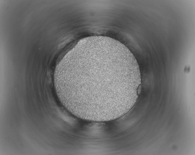 X0000091330128200709071205