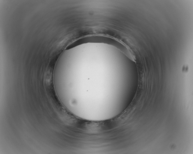 X0000091330129200709071205