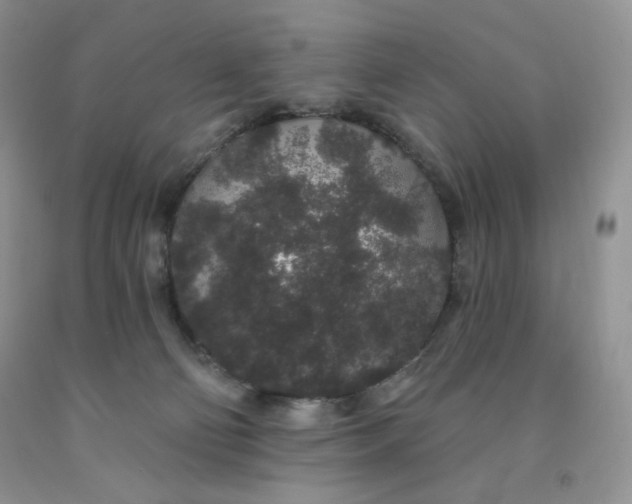 X0000091330130200709071205