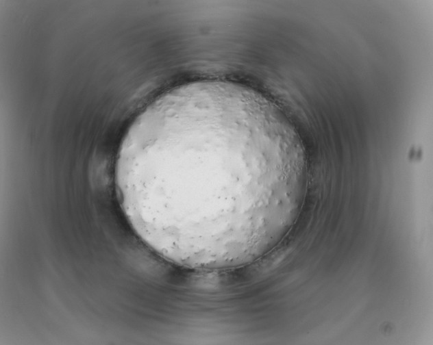X0000091330131200709071205