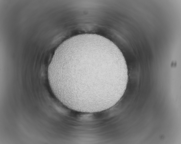X0000091330132200709071205
