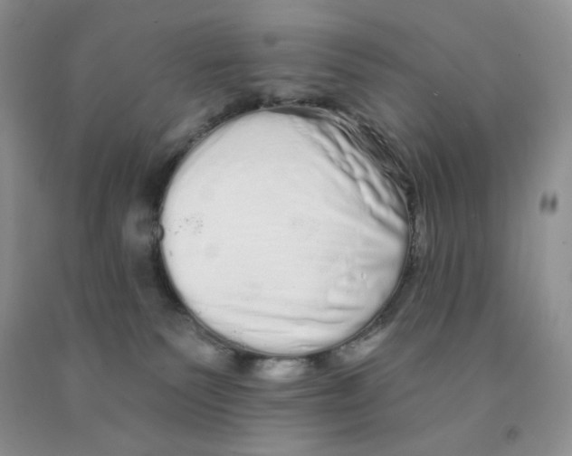 X0000091330135200709071205