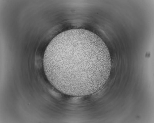 X0000091330136200709071205