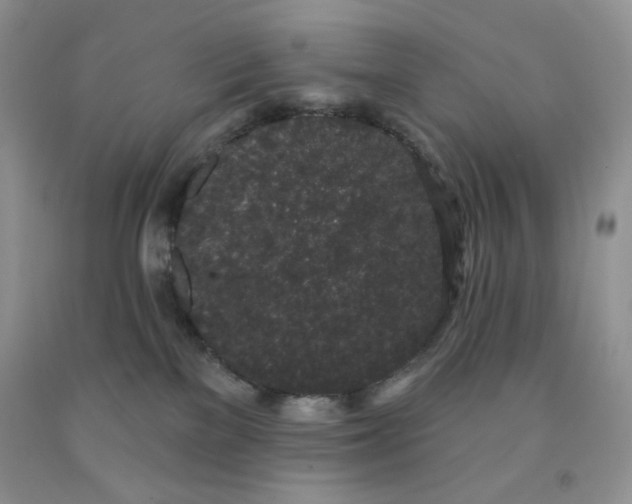 X0000091330137200709071205