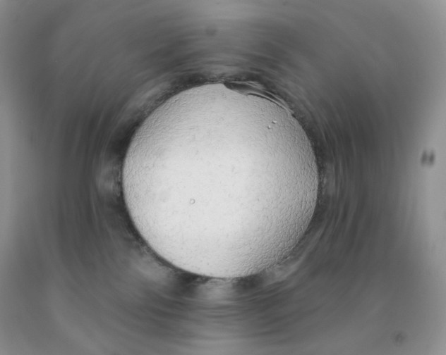 X0000091330138200709071205