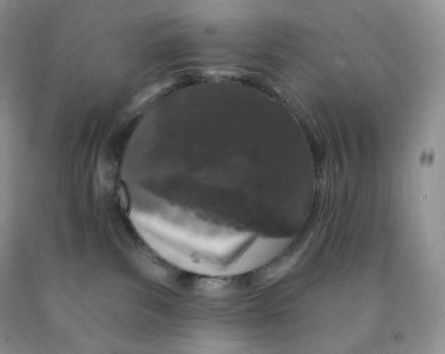 X0000091330139200709071205