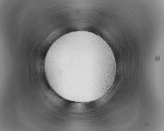 X0000091330140200709071205