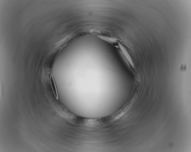X0000091330141200709071205