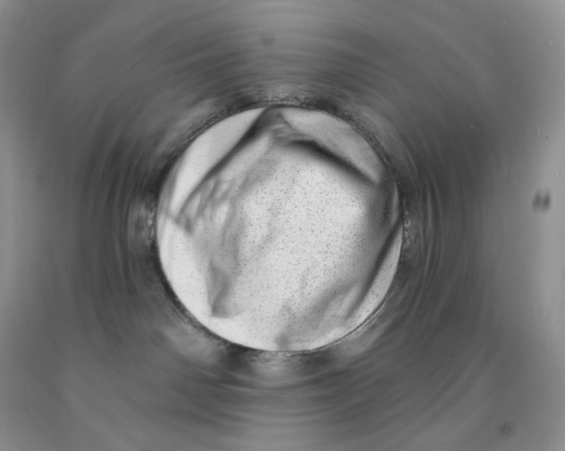 X0000091330142200709071205