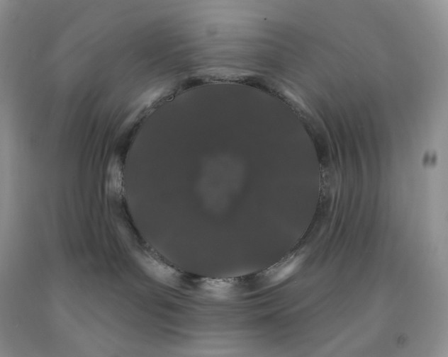X0000091330143200709071205