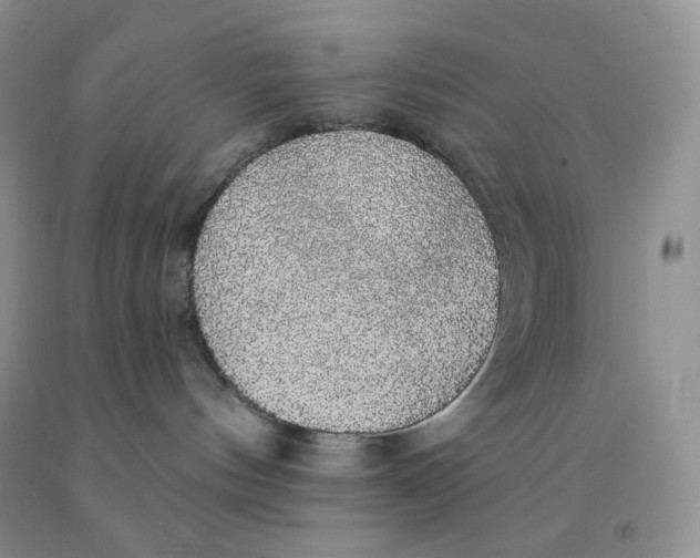 X0000091330144200709071205