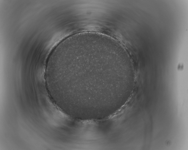 X0000091330146200709071204