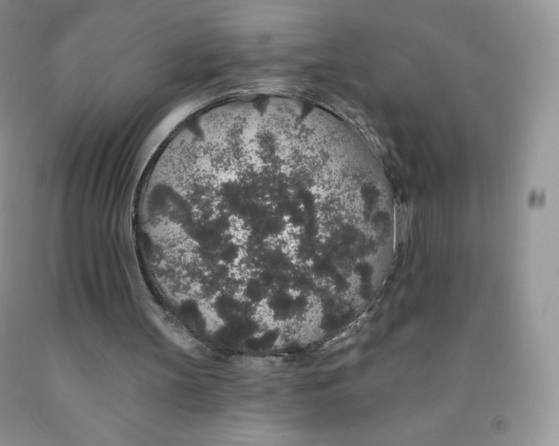 X0000091330147200709071204
