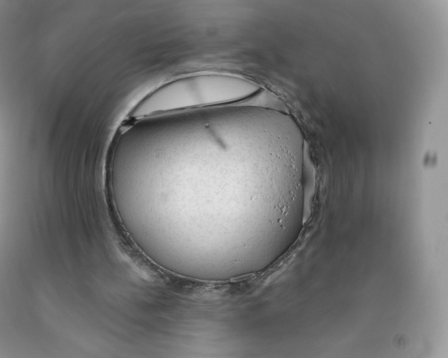 X0000091330148200709071204