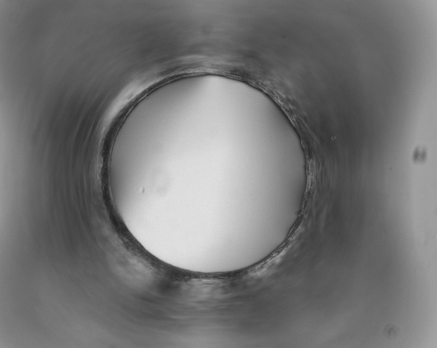 X0000091330150200709071204