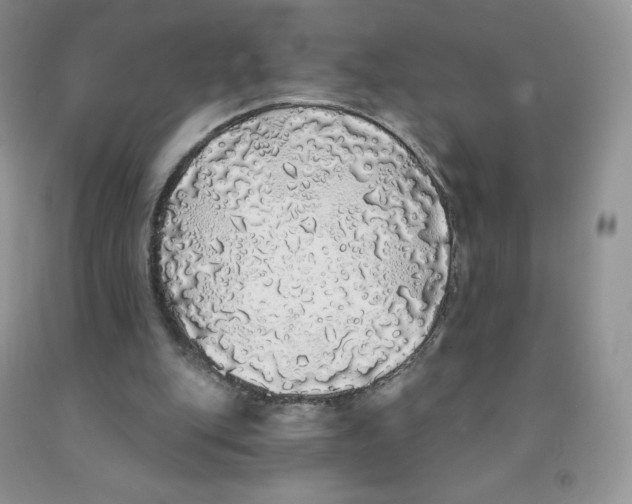 X0000091330151200709071204
