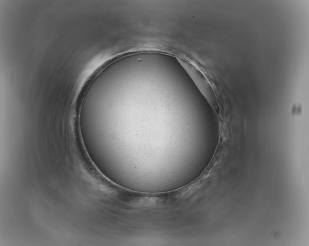 X0000091330152200709071204