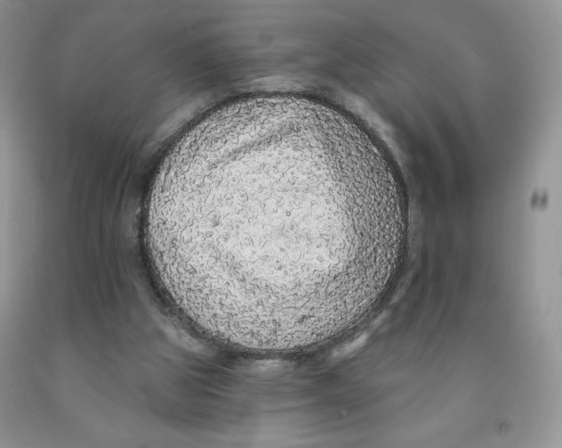 X0000091330153200709071204