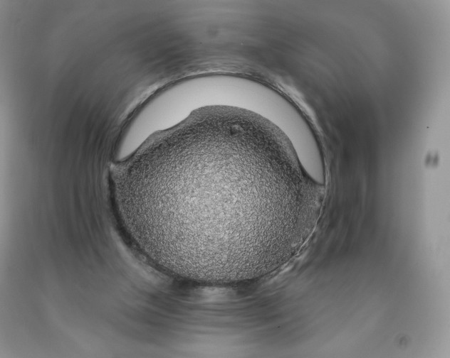 X0000091330154200709071204