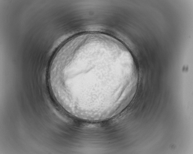 X0000091330155200709071204