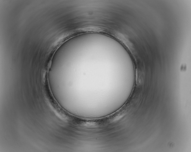 X0000091330157200709071204
