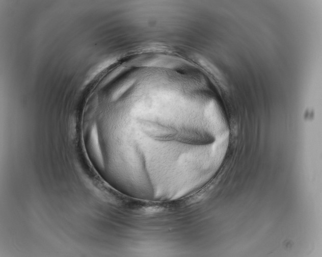 X0000091330158200709071204