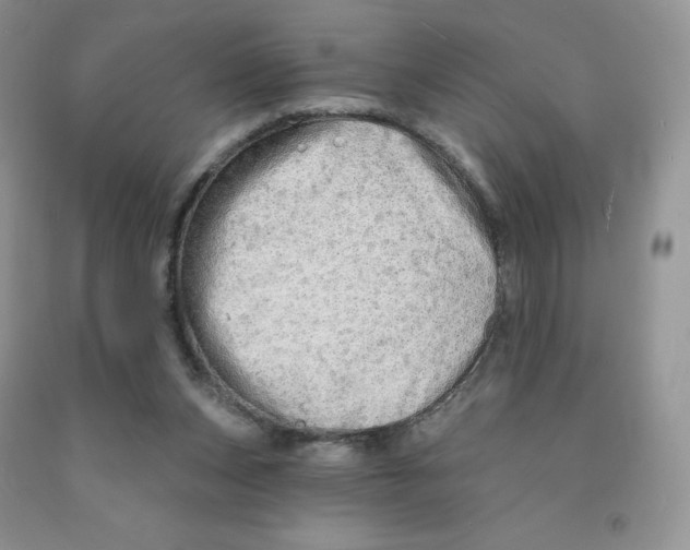 X0000091330159200709071204