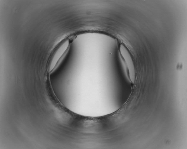 X0000091330160200709071204