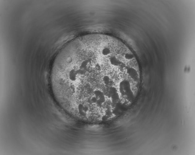 X0000091330161200709071204