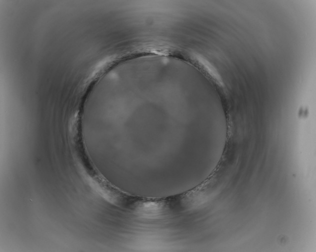 X0000091330163200709071204