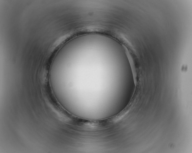 X0000091330164200709071204