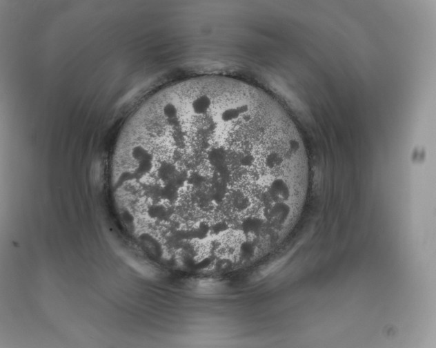 X0000091330165200709071204