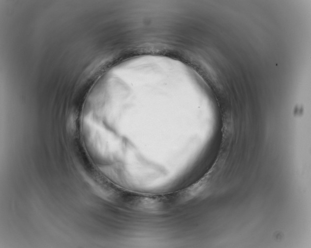 X0000091330166200709071204