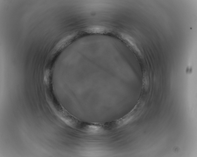 X0000091330167200709071204