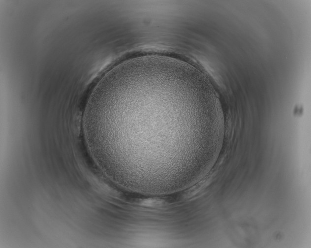 X0000091330168200709071204