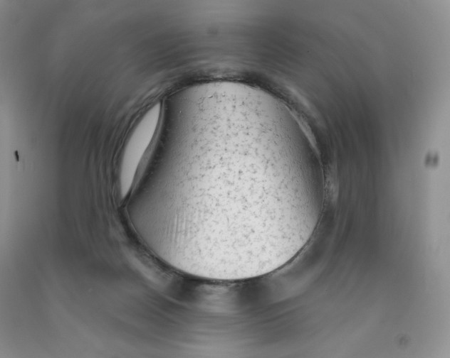 X0000091330170200709071204