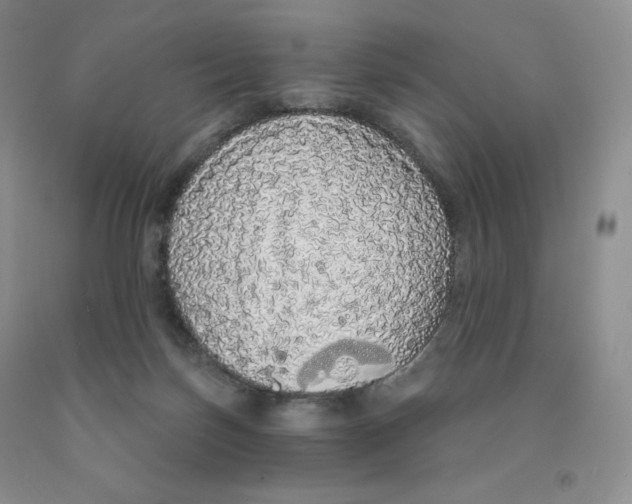 X0000091330171200709071204