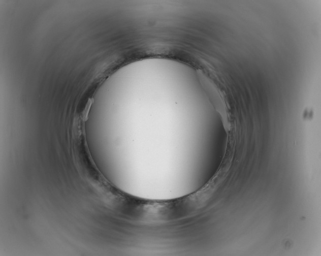 X0000091330172200709071204