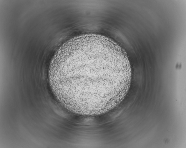 X0000091330173200709071204