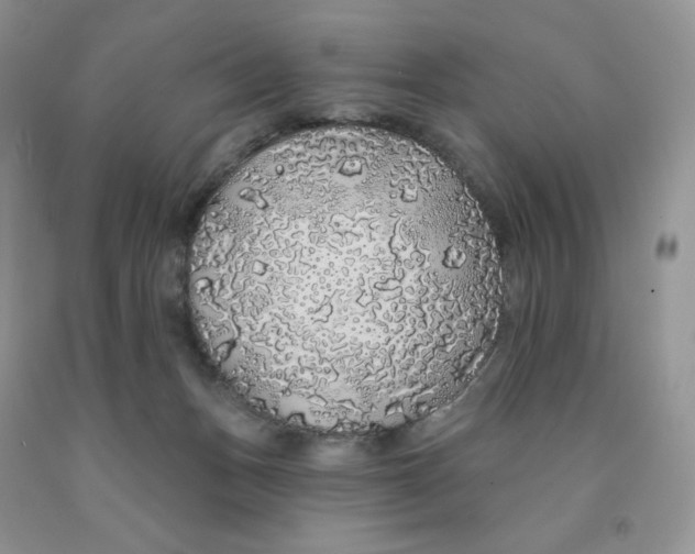 X0000091330175200709071204