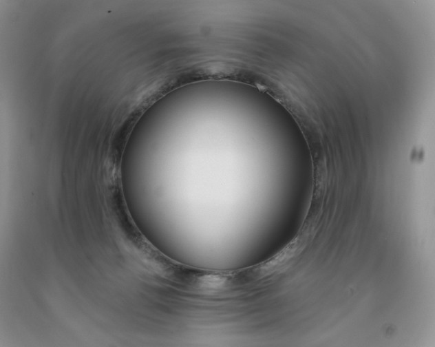 X0000091330176200709071204
