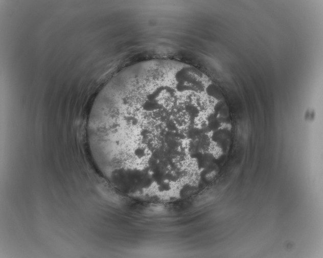 X0000091330177200709071204