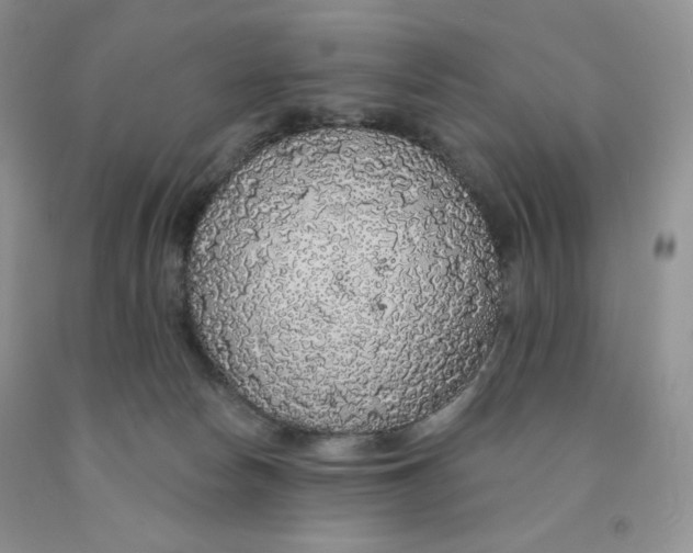 X0000091330178200709071204