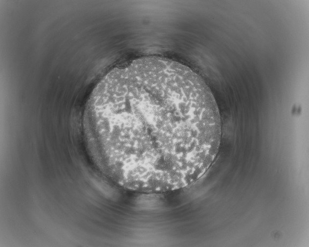 X0000091330179200709071204