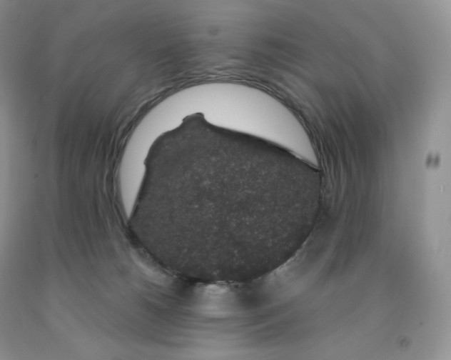 X0000091330180200709071204