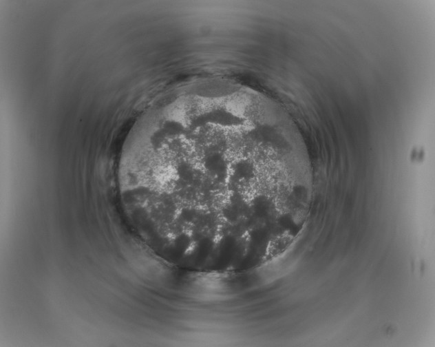 X0000091330182200709071204