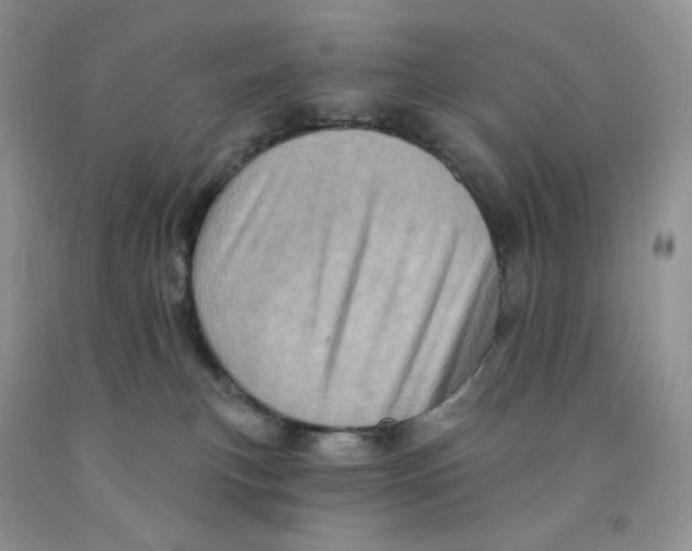 X0000091330183200709071204