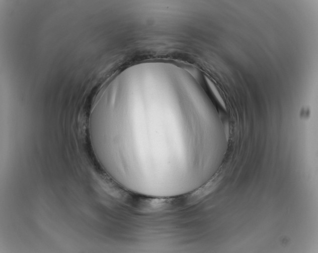 X0000091330184200709071204