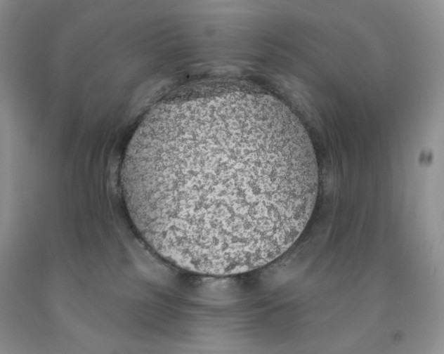 X0000091330185200709071204