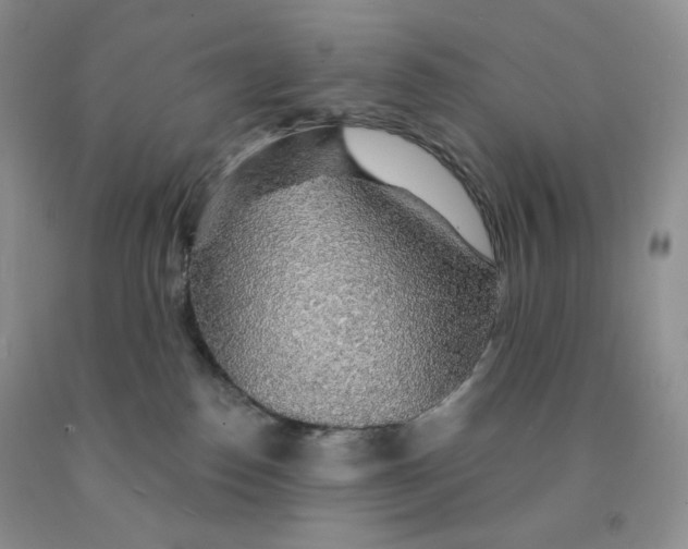 X0000091330186200709071204